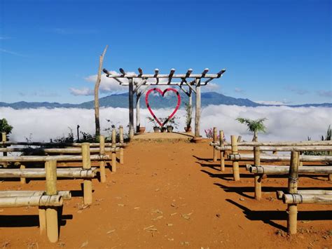 calamba farm sea of clouds|Calamba Farm Sea of Clouds: Heaven.